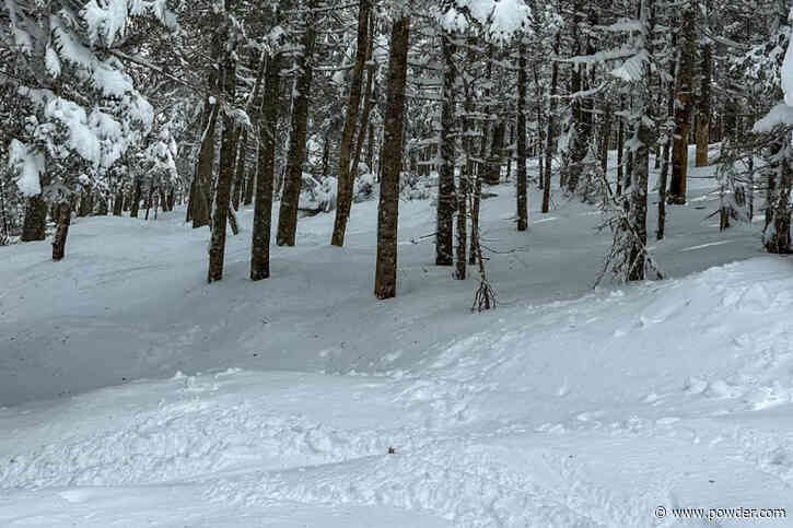 Mont Tremblant's Glades Refreshed With Spring Snow