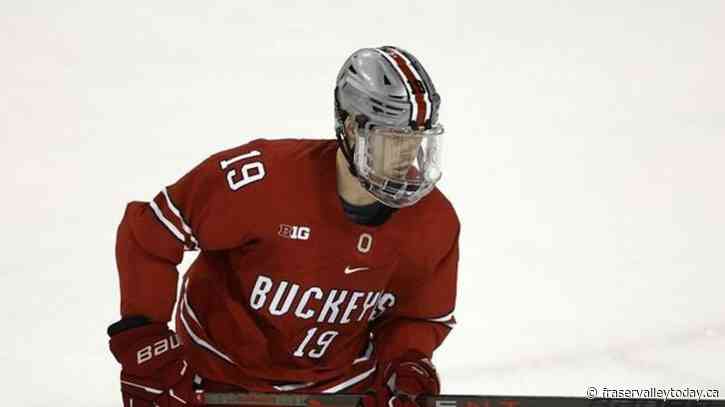 Ottawa Senators sign forward Stephen Halliday to entry-level contract