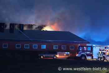 18 Schweine verenden bei Feuer in Lippling