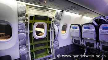 Passagiere über mögliches "Verbrechen" nach Notlandung informiert