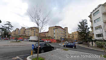 Alberi da abbattere e altri da ripiantare. Al Nomentano deviazioni e chiusure sabato 23 marzo