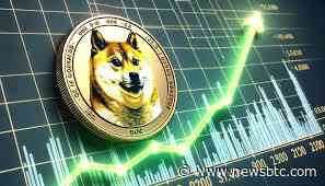 Dogecoin Whales Go On Massive Buying Spree, Here’s How Much They’ve Bought