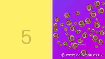 Instagram users are only just realizing there's a hidden game on the app