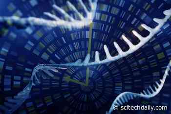 Redefining Cell Biology: Nondestructive Genetic Insights With Raman Spectroscopy