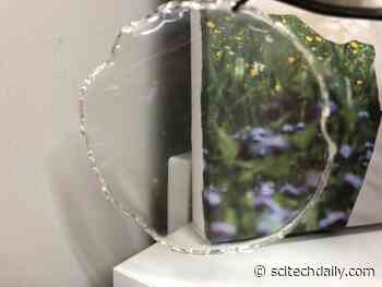Eco-Friendly Breakthrough: New Polymers Made From Plant Cellulose