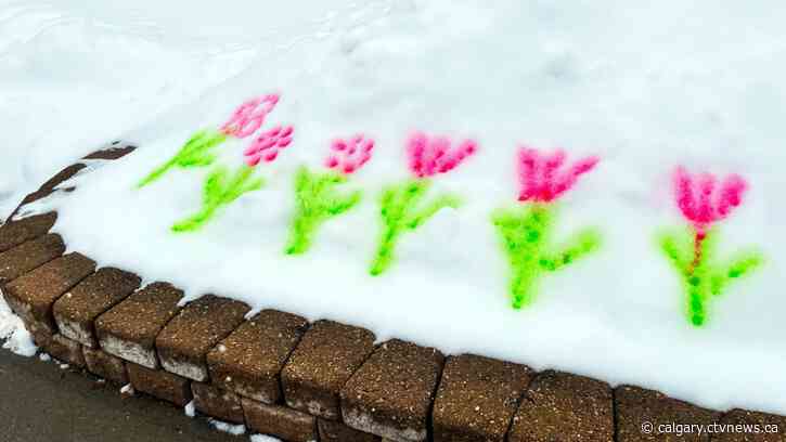 Hang on! It'll be a cold, snowy weekend, but there's warmer days on the way