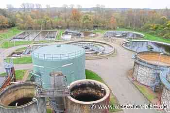 „Tote Pferde“ treffen auf Atomkraftwerke