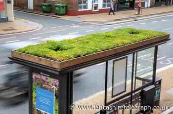 Chorley Council to install five 'living roof' bus shelters