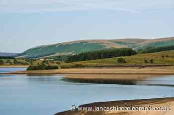 Forest of Bowland among UK's best places to travel in spring