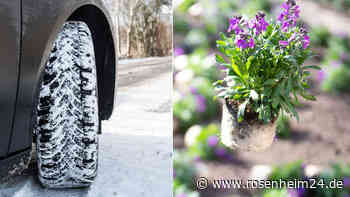 Erst Kaltluft und Wintereinbruch – und dann wieder 20 Grad an Ostern?