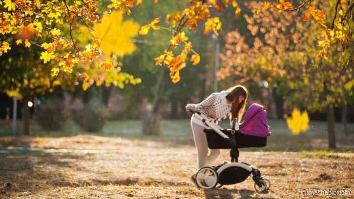The best pushchairs, prams, and buggies for parents