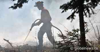 ‘Band-aid response’: Ford government offers forest firefighters $5K bonus