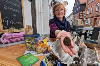 Brakel blüht auf mit Kultur und Garten