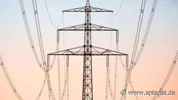 Strompreise: BASF-Chef Brudermüller wirbt für Verstaatlichung der Stromnetze