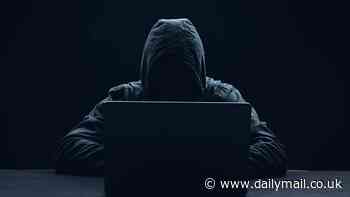 My mom started messaging me... two weeks AFTER her death: Families left traumatized by new 'ghost hacking' scam that targets dead people