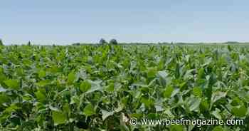 This Week in Agribusiness, March 23, 2024