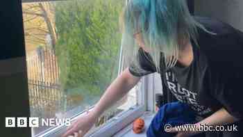 Mum says she's waited seven years for damp repairs