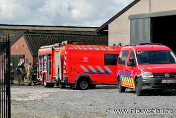Brandweer rukt uit nadat 50-tal varkens in mestput vallen