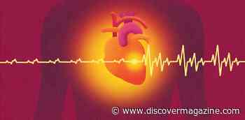 Pacemaker Powered By Light Eliminates Need For Batteries And Allows The Heart To Function More Naturally