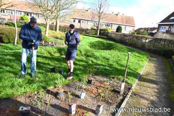 Bewoners toveren saai pleintje om tot groene speeloase dankzij burgerbudget