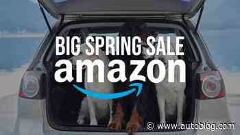 The best Amazon Big Spring Sale deals for your dog