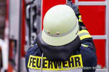 Halle brennt ab: Sachschaden in Millionenhöhe