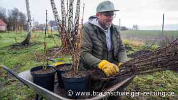 Lecker! In Söllingen soll eine Naschhecke angelegt werden