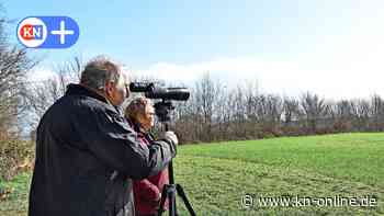 Rathjensdorf: Von der Seeadler-Beobachtungsstation alles im Blick