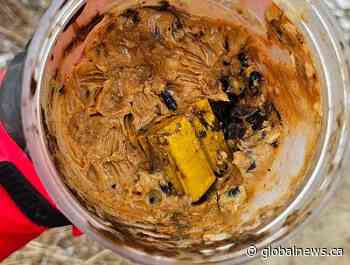 ‘I’m totally disgusted’: Owner of dog harmed by possibly hazardous material in Toronto park speaks out