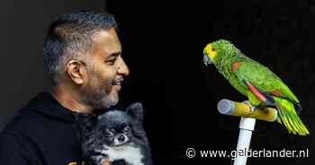 Papegaai Koko kwam ter wereld in de Tweede Wereldoorlog en versleet meerdere baasjes