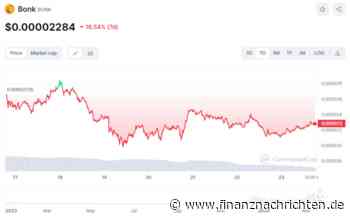 Krypto News: Bonk im deutlichen Minus, während dieser Meme-Coin pumpt!