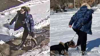 Toronto playground dog attack leaves child with serious, life-altering injuries