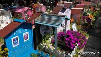 Tombe del Duce, ceneri trasformate in diamanti. Vi porto nei cimiteri degli animali di Roma