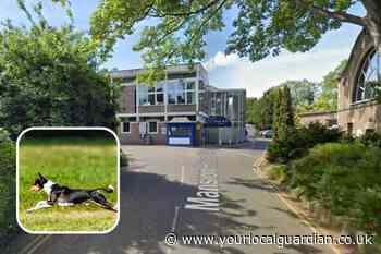 Dartford Central Park Acacia Hall: Plans for dog park