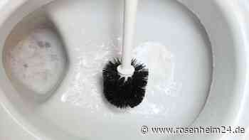 Viele wechseln sie zu selten: Bei diesen Anzeichen gehört die Klobürste in den Müll