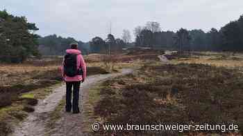 Auf Entdeckungsreise im Naturparadies der Gifhorner Heide