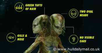 Creepy artist's impression shows what Brits believe an alien would look like