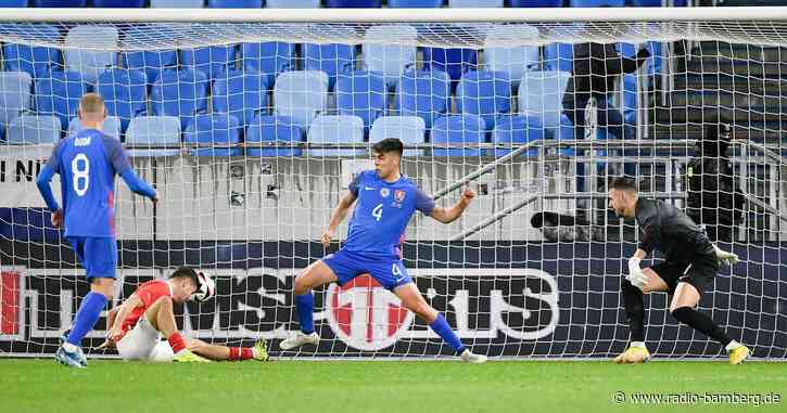 «Playstation-Controller»: Österreich feiert Baumgartner