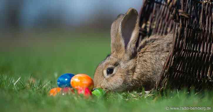 Diebe klauen Riesen-Osterei