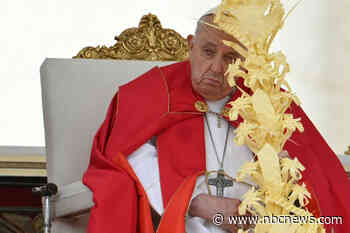 Pope skips homily at start of busy Holy Week during Palm Sunday Mass in St. Peter’s Square