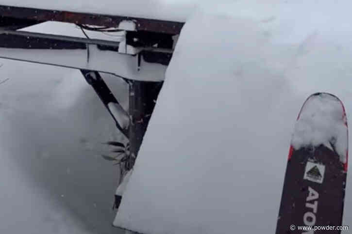 Skier Faces The Ultimate Inconvenience On Japan Powder Day