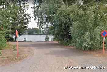 Protest tegen zonnepanelenpark op vijver: “Laatste stukje natuur in deze geïndustrialiseerde wijk dreigt te worden verkracht”
