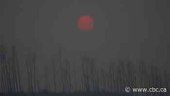 Alberta scientists join forces to emphasize the health effects of climate change