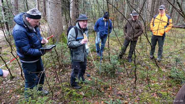 Landkreis Miesbach: Forstverwaltung startet Verbissgutachten – Grundlage für Abschusspläne