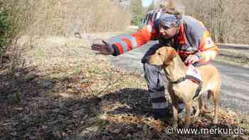 So trainieren die Vierbeiner den Ernstfall – Rettungshunde-Führerin des BRK: „Sind eine Einheit“