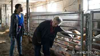 Vorbild für den "Polizeiruf": So wütet die Schweinepest im Osten