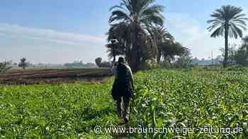 Archäologen enträtseln früheren „Superhighway“ Ägyptens