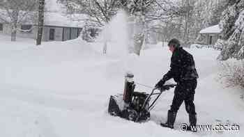 Spring snow storm hitting Thunder Bay Sunday evening