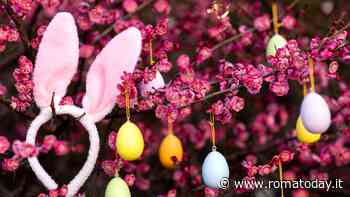 L’albero di Pasqua nelle case degli italiani: spunti creativi per addobbarlo