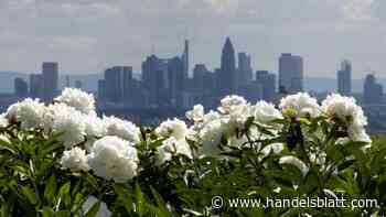 KfW-Kreditmarktausblick: KfW sieht Ende der Kreditflaute – doch Zinshoch belastet das Geschäft